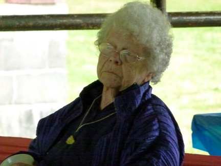 KitsapDemsPicnic b-005