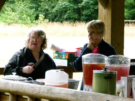 KitsapDemsPicnic b-009