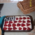 DemWomenPicnic09-002
