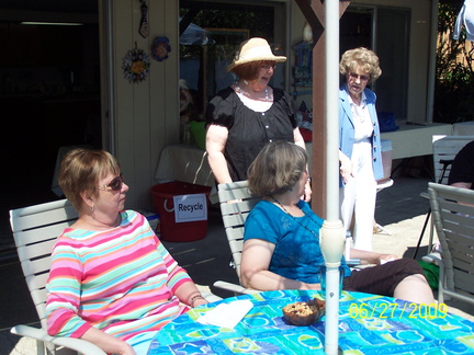DemWomenPicnic09-005