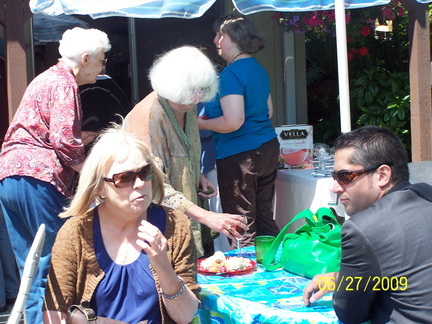 DemWomenPicnic09-010