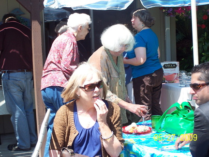 DemWomenPicnic09-011