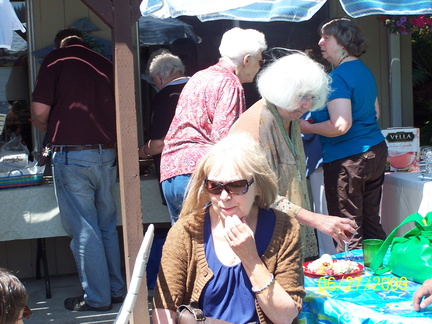 DemWomenPicnic09-012