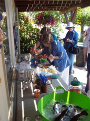 DemWomenPicnic09-020