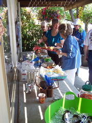DemWomenPicnic09-022