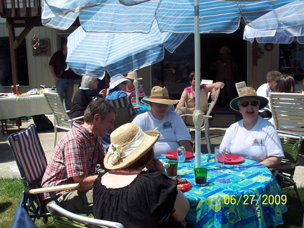DemWomenPicnic09-033