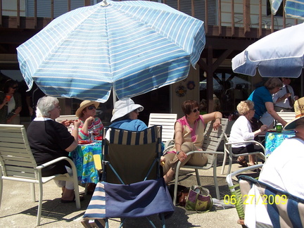 DemWomenPicnic09-035