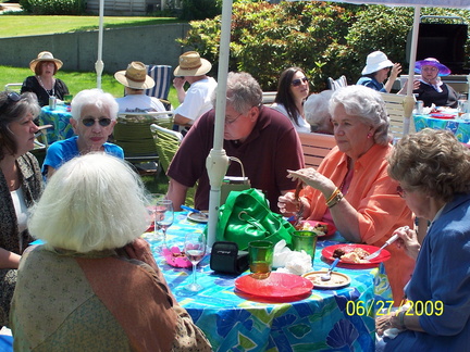 DemWomenPicnic09-073